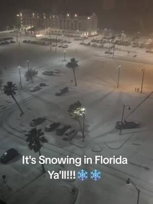 I'm Loving it!! I'm living in a Winter Wonderland!! ❄️☃️❄️☃️❄️ #foryoupage #panamacityfl #snowinginthepanhandle 