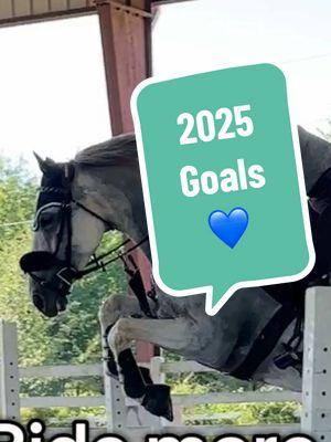 What’s your word for 2025? - Tags 👇🏼 - #horsetrainer #equestrian #showjumper #hunterjumper #dressage #derbyhorse #englishrider #warmblood #ottb #homebred #horsebreeder #barnowner #arkansas 