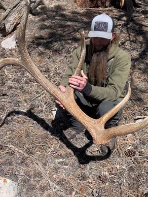 TinesupTuesday! Great find from a couple years ago! #tinesup #crispiboots #jumpingjacktrailers #vortexoptics #phoneskope #fypシ゚viral #trendingvideo #foryourpage #canvascutter #phoneskope #trendingvideo #sheepfeet