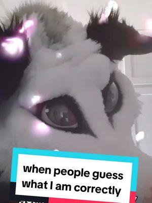 I am filled with joy every time yall get it right and when you come up with new answers #ayopossum #possum #puppet #opossum #funny #fursuit #furry #fursona #fursuitmaker #cute #creepy 