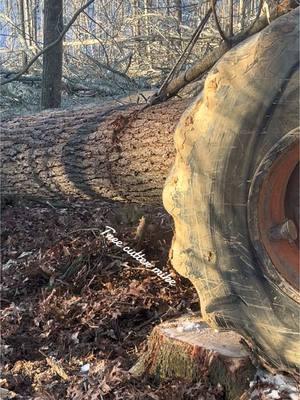 @skidderman240 #woodgrain #timberjack240 #winchwork #562markll #xcutchain #hoffmanboots #kleinhardhats #loggertok #loggerlife 