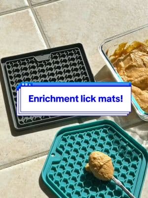 Enrichment can be easy! #lickmat #dogsoftiktok #enrichment #positivedogtraining 