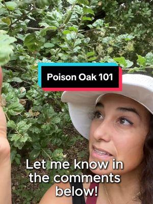 Poison oak is infamous for making your skin itchy. 😬  But did you know the itch comes from an oil called urushiol? This oil is only a threat if the plant is crushed, broken, or bruised.  Have you encountered poison oak? Share your stories in the comments 💬  #PoisonOak #OutdoorTips  #Pl#PlantSafetya#NatureLovers