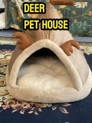 The little deer tent bed is sooo CUTE🥰🥰 #kitty #pethouse #cathouse #catbed #catroom #petbed #catmom #catsoftiktok #cat 