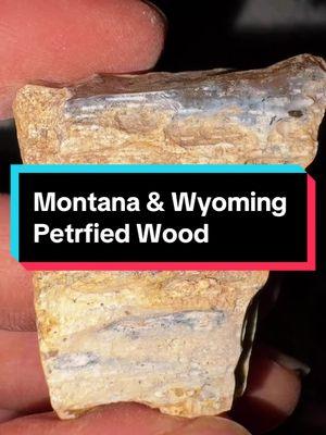 Even more petrified wood from parts of whyoming & montana area #rockhound #geologyrocks #fyp #minerals #crystals #hobby #rockhounding #rockcollection #petrifiedwood #agate #jasper #mossagate #montanarockhounding #wyomingrockhounding #geology 