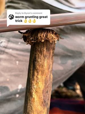 Replying to @Byron WORM grunting trick!! 🪱 #gruntingworms #trick #fishingtip #DIY #free #bait #worms #vibrations #works #iron #wood #tools #fishing #fyp #fypシ #fypシ゚viral #fypage #yeah #tricky #works 