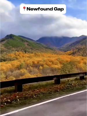 Comment below 👇🏽 your favorite scenic road⁉️ These were our 5 favorite bucket list scenic roads we traveled in 2024! We love to know your favs below! 📍North Cascades Highway ~ North Cascades National Park, Washington  📍Highway 89a ~ Sedona to Flagstaff, Arizona  📍Going to the Sun 🌞 Road ~ Glacier National Park, Montana  📍Tail of the Dragon 🐉 Road ~ North Carolina -Tennessee  📍New Found Gap ~ Great Smoky Mountains 🏔️ National Park, Tennessee  📲 save this for your 2025 road trips, can't wait to see what this year brings! #scenicdrive 