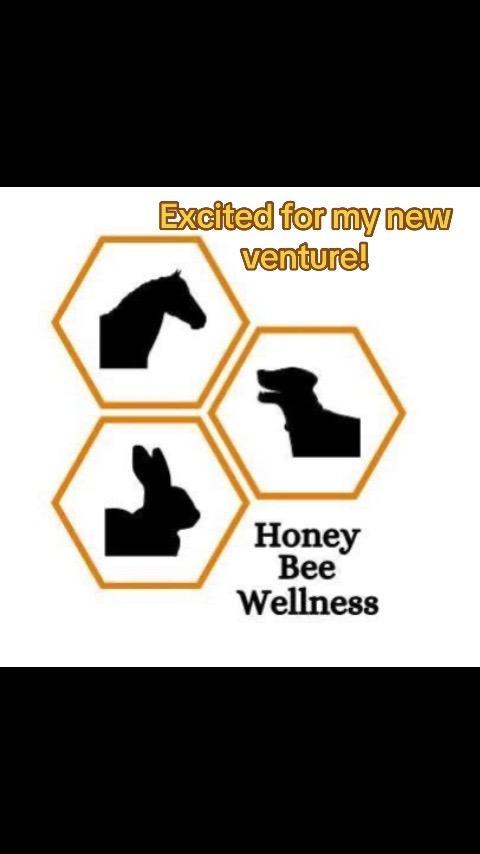 I’m excited to announce that I am now a certified MagnaWave practitioner and the start of my business, Honey Bee Wellness! I’ll be offering PEMF therapy to all species big and small in the STL, Metro East, and SWIL areas. #magnawave #magnawavepemf #pemf #business #horse #cattle #sheep #goat #dog #cat 