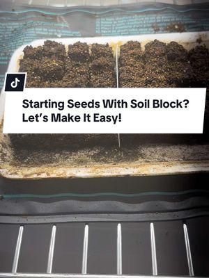 Starting seeds with soil blocks? 🌱 Let’s make it easy! These tips will have your seedlings thriving in no time. Watch and learn how to get the most out of this space-saving and eco-friendly method. 💚  #GardeningTips #SoilBlocking #SeedStarting #BeginnerGardener #GardeningMadeEasy #GardenHacks #StartYourGarden #EcoFriendlyGardening #GardeningSeason #GrowYourOwnFood #PlantLife#CapCut 