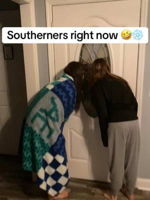 Southerners right now be like 🤣❄️🥶 #thewesneskys #snowday 