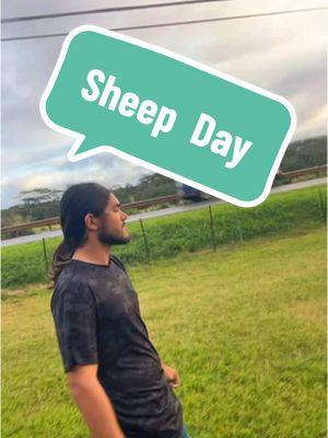 Always a good day!  #sheep #sheepranch #sheeproundup #omaoranchlands #kauai #son 