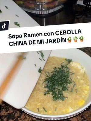 Que no les falte su plantita de cebolla china en casa para las sopas 🪴🪴🍜🍜🍜🍜.. #cebollachina #soparamen #sopaconcebollachina #antojitos #ramensoup #ines25___ #dinner #DinnerIdeas #cena 