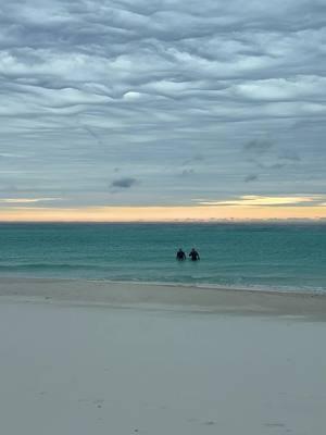 🏊 What in the Pensacola is going on? People swimming in the gulf right before the Pensacola Blizzard came through! #pensacolavibes #purefl #explorepcola #upsideofflorida #florida #lovefl #pcola #pensacolabeach #sharealittlesunshine #pureflorida