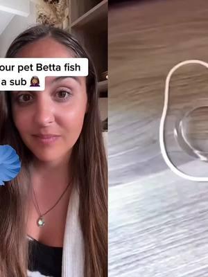 Sun plans are written for a reason 🤷🏽‍♀️🐟 #subplans #teachertalk #schoolpet #petbetta #bettafish #teachersoftiktok #schoolstories #schoolpetfail #substituteteacher