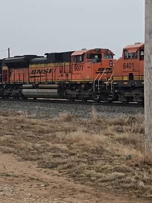 What it's like to live right beside the railroad tracks #railfan #wesavemodeltrains #railroad #bnsf #raillink #fyp #locomotive #coal #coaltrain 