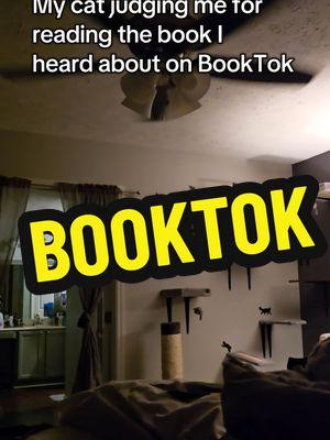 Listen, it's a good escape, okay???  #BookTok #curecatvideo #FunnyCatVideo #catwall