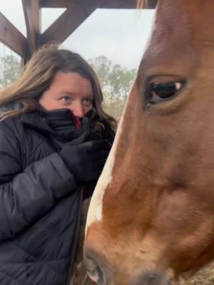 Feed with me Pt. 2: SNOW in south GA?? Oh and this HEATED vest is AWESOME! #fyp #horses #barrelracing #barrelracer #rodeo #feedwithme #heatedvest 