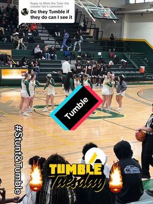 Replying to @Mimi the Tyler the creator fan #tumblersoftiktok #Stunt #fypシ #MyFavorite #Real #fyp #gameday #Cheerleadersoftiktok #Cheertok #Viral #viralvideo #VikingNation