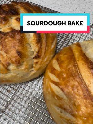 Don’t judge my outfit, I know TikTok is a safe space. 🫠 #sourdoughtiktok #homemadesourdough #BakeWithMe 