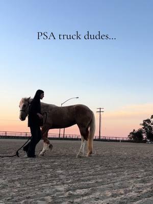 Most of the time I don’t really care because my horses are usually pretty desensitized but they’re still horses…  #horse #mustang #wildhorse #cowboy #cowboy #equestrian #horsetraining #coltstarting #catcalling #rude 