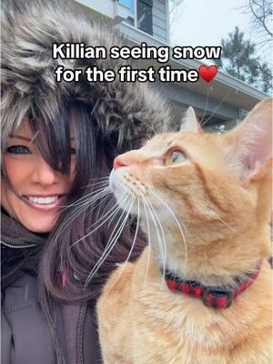 My Killian’s 1st Snow♥️ #Georgia #GeorgiaSnow #Snow #SnowDay #Jan2025 #orangecatbehavior #orangecatsoftiktok #killiankoolkat 