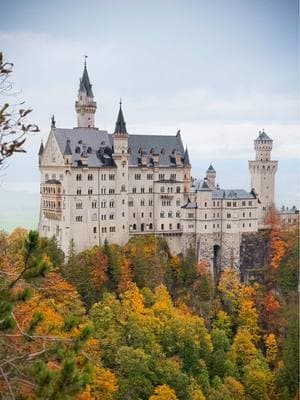 🏰 Neuschwanstein Castle located in the Bavarian Alps of Germany is the ultimate fairytale 19th-century castle! Think stunning mountain views, lush forests, and that dreamy architecture that inspired Disney's castles❤️ It way exceeded our expectations!! Located right outside of the town of Fussen it was built by King Ludwig II in 1869 and definitely worth putting on your bucketlist!! -👉Tips: Make sure to get your tickets way in advance and plan on spending the whole day to enjoy the whole place along with the neighboring Hohenschwangau Castle 🙌We visited in the fall which was breathtaking but I have heard all seasons are beautiful *sadly no photography or video is allowed inside Germany • Bucketlist • Castles • Travel • Travel Addict • Destinations  #neushwanstein #germancastles #neushwansteincastle #germany #visitgermany #germanytiktok #bavaria #bucketlisttravel #germanytravel 