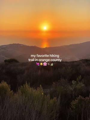 my haven 💛🌊🌿⛰️🥾🦋 #lagunabeach #hikingtrails #lagunabeachcalifornia #orangecountyca #orangecounty #thingstodoinorangecounty #sunsethike 