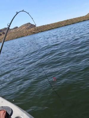 Sept 24’ was a good day of fishing. 11 Bass & 1 Rod that I still use today lol. 😂 it’s a Ozark trail rod #fishingaddict #azfishing #arizonafishing #saguarolake #fyp #fishing #bassfishing #ozarktrail 