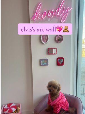 pov: you setup an art wall for your puppy #pinkapartment #eclecticdecor #colorfulhomedecor #targethomedecor #targethomefinds #michaels #puppytiktok 