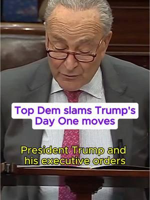 Senate Minority Leader Chuck Schumer (D-NY) slams Donald Trump’s Day One executive orders. #reiders #thereidout #politics #political #msnbc #news #joyreid #trump 