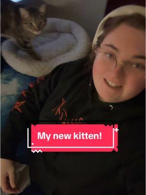 Would love some ideas for my new kitty!! Looking for fun whimsical or fandom name ideas, I would like her middle name to be Jade! Can’t wait to show yall more of her in the future! #catnames #cat #kitty #catsoftiktok #firstpet #catmom #tabbycat 