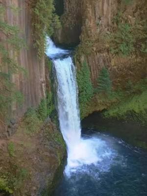 Toketee Falls Oregon, one of the most beautiful places I've ever seen. And one of the best hot springs very close by. Mother nature has a lot of special places but very few as special as this place. Oregon is a true national treasure #fyp #Oregon #Waterfalls #MotherNature #ToketeeFalls #Travel #VanLife #Dog 