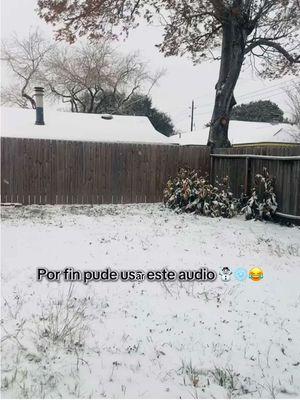 #nive#katytexas#enero2025☃️❄️🥶