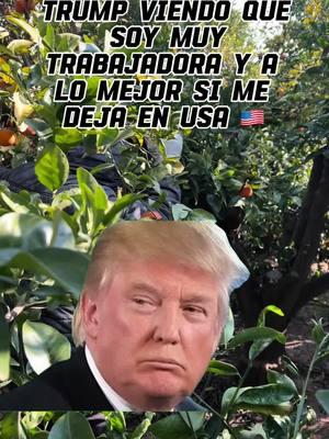 #Meme #MemeCut #memenatal #trabajo #emigrantes#trabajoduro #california#meme#cacu#memecut #trump#fypシ゚viral #fyp#gor#foryoupage 