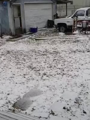 Snow Day in Mississippi 2025🩵❄️ My first time experiencing this much snow! Attempted and failed at making a snowman but made two snow angels! Molly hates it but Chance was curious! Played in the snow like a little kid because when will we ever get snow like this again in the south⛄️❄️🩵 #Snowday #snowinthesouth #snowinmississippi #snowangels #memories #bestday #excitementforsnow #fyp #foryou #foryoupage #cerebralpalsy #cerebralpalsyawareness 