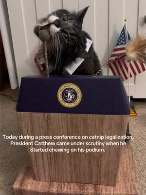 #catthew does a #pressconference, #scandal ensues