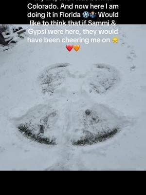 #snow #snowangel #snowinflorida #floridasnow  #sammi #sammichicken #beachchicken #chickenofthesea #chickensofig #sammianddave #daveandsammi #gypsi 