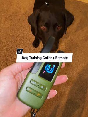 Positive reinforcement has been huge for this handsome buddy & this @Jugbow US collar has helped! Its a great training tool! I’ll pin it above for yall! #dogcollar #ecollartrained #DogTraining #dogobedience #collartraining #dogs #trainyourdog #jugbowecollar 