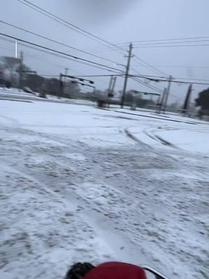 HOUSTON SNOW DAY 🤣🤠‼️YALL KNOW I HAD TO GET ACTIVE IN THE CITY 🤣#houston #houstonhorses #funnyvideo #funnymoments #cityofhouston #houstontexas #downtownhouston #southhouston #fyp #foryoupage #f #fowlowme #followerstiktok 