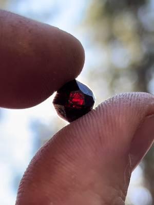 Collecting garnets weathering from the mica schist  ❤️😊❤️#almandine #garnet #red #california #crystalhunting #treasure 