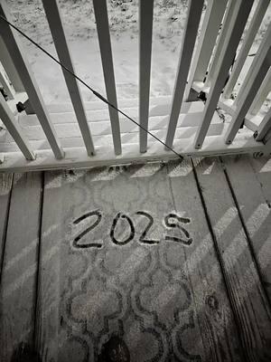 Winter storm 2025  #snow #fyp #blizzard #doyouwanttobuildasnowman #winter2025 #godisgood #walkthatwalk 