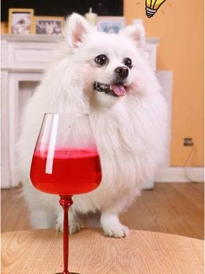 Revealing the magic of red wine!#nico #smartnico #funny #fyp #dogsoftiktok 