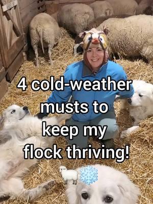 Winter is here, and keeping sheep happy and healthy takes some extra care! ❄️ Here are 4 crucial things I focus on during cold weather to keep my flock thriving. 🐑✨ #winter2025 #coldsnap #sheep #livestockguardiandog 