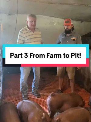 Part 4 from Farm, to Pit! Keep watching, gets interesting. #wholehogbbq #hoglard #bbqtiktok #tictokshopping 