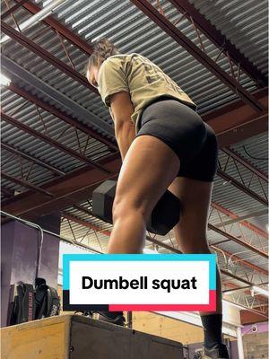 Lower body Dumbell between bench squat  #legday #lowerbodyworkout #workoutsforwomen #sportsontiktok #musculationfemme 