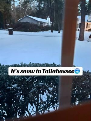 I can not believe it, it really snowed in Fl.. I guess he’ll really can freeze 😂 #ericalyles #fyppppppppppppppppppppppp #tallahassee #YourFavoriteRealtor #florida #fyp #sellahouse #buyahouse #ExpertRealtor #C21 #Century21FirstStory 