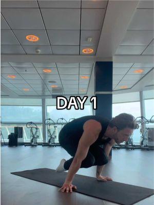 DAY 1/100 challenge to master the Planche. Stay tuned for tomorrow 💪🏼 #100daychallenge #planche @