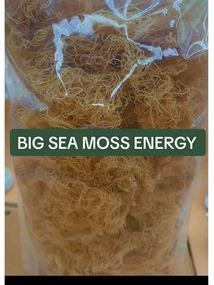 Sea moss isn’t just a trend—it’s nature’s multivitamin straight from the ocean. Get your 2 lbs of pure, mineral-rich sea moss and feel the difference in every scoop! 🌿🌊 #seamossbenefits #seamoss #seamossfacts #seamoss🔌 #seamossgel #seamossplug 