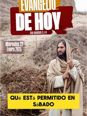 Evangelio de hoy Miércoles 22 Enero 2025  #lecturadeldia #evangeliodehoy #evangeliodehoy #lecturadehoy #santoevangeliodehoy #santoevangelio #catolicos #VirgenMaria #misa #jóvenescatólicos #musicacatólica #santorosario #renovacioncarismaticacatolica  