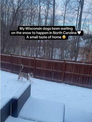 Been in NC for 6 months and it finally feels like home 🥹🥹🥹🥹#snow #northcarolina #snowstorm #2025bride #wedding #weddingmemes #bride #ncsnow #atl #winter #nc 